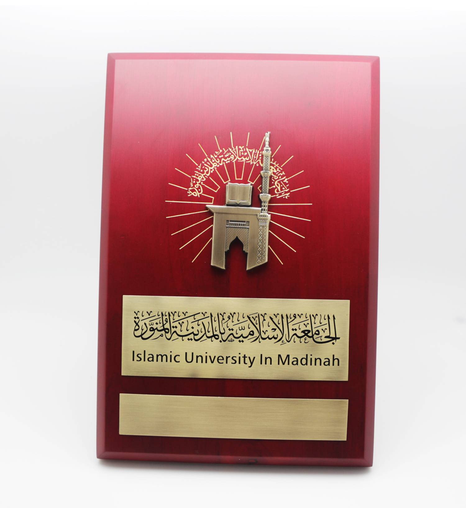 Custom Business Reminder MDF Plaque Standing Wooden Shield Blank A4 Size Awards 